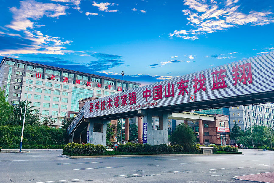 山東藍(lán)翔技師學(xué)院過街天橋